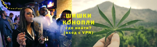 PSILOCYBIN Бородино