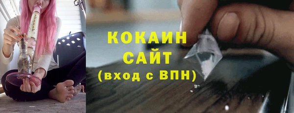 прущие грибы Бронницы