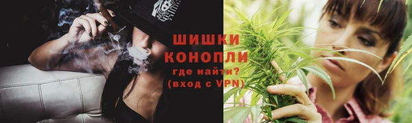 PSILOCYBIN Бородино