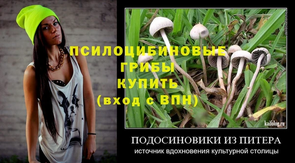 соль ск Бугульма