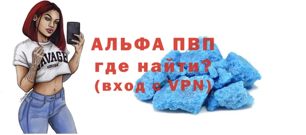 прущие грибы Бронницы