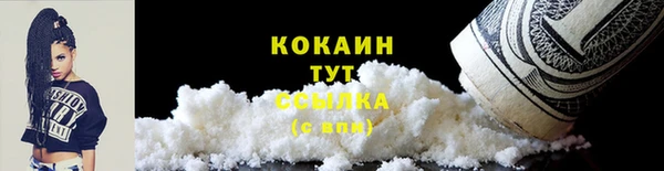 прущие грибы Бронницы