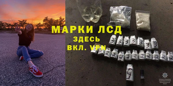 прущие грибы Бронницы