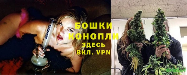 прущие грибы Бронницы
