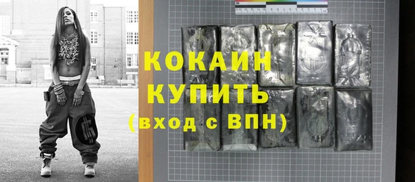 PSILOCYBIN Бородино