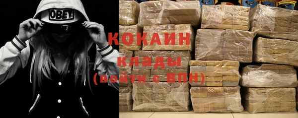 PSILOCYBIN Бородино
