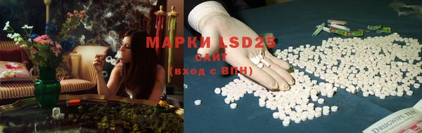 PSILOCYBIN Бородино