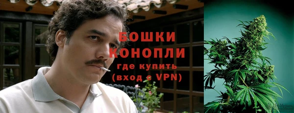 прущие грибы Бронницы