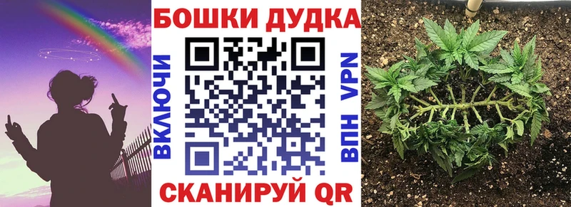 купить наркоту  Тбилисская  Бошки марихуана конопля 